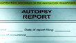 © Joey - Dramatic Lighting over Generic Autopsy Report