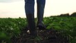 © TO LOVE - Agriculture, Rural boots pressing into dark soil, Healthy field with promising future, Nature and technology combined in farming, Calm morning on agricultural land, Farmer s attention to every detail