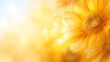 © Wall Art Galerie - Bright yellow flower glowing in warm sunlight with soft bokeh background, symbolizing happiness, optimism, natural beauty and cheerful summer atmosphere