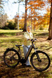 © BGStock72 - Korean woman enjoying a sunny autumn day while riding her electric bike in a park