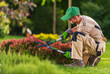 © Tomasz Zajda - Gardener Trims Bushes in a Green Park