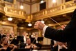 © Meow Creations - Conductor hand holding a baton and directing an orchestra in an elegant concert hall