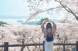 © Jo Panuwat D - Woman tourist sightseeing Sakura Cherry Blossom in Spring. Happy traveler travel at Saigyo Modoshi no Matsu over Matsushima Bay in Matsushima, Miyagi Prefecture, Japan. Famous Landmark and Vacation