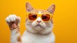© wongjowo - Cool cat in trendy yellow sunglasses giving high five