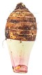 © arbi wiratama - Fresh taro root, brown fuzzy skin and white-purple flesh with starchy texture, isolated on white background.