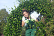 © auremar - a smiling woman is gardening
