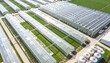 © igor.nazlo - Drone aerial view of greenhouse farming complex, modern agriculture infrastructure, sustainable food production, agribusiness and innovative farming technology