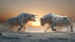 © Jojo* - Two powerful bulls charging at each other in a dusty arena at sunset.