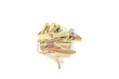 © LyPhuoc - Fresh Lemongrass Stalks Vietnamese Herb Spice Guangdong Asian Cuisine Cooking Ingredient
