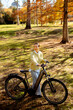 © BGStock72 - Korean woman enjoying a sunny autumn day while riding her bike in a beautiful park