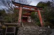 © Joshua Daniels - Old Decaying Torii Gate in Japanese Countryside, Abandoned to Time