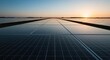 © Momoy Std - Panoramic view of solar panels stretching toward the horizon at sunset