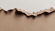 © pier - torn brown cardboard paper edge isolated on white