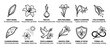 © Happy Carrot - Collection of lily flower icons explaining their symbolic meanings of purity, innocence, and new life in a black and white line art infographic with descriptive text