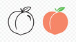 © Iconic Store - Peach or apricot illustration, simple vector, outline or solid fill, coral or orange, for icon or graphic design isolated on Transparent Background