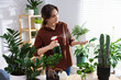© New Africa - Woman spraying beautiful potted houseplant with water indoors