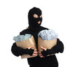 © New Africa - Masked thief with bags full of money on white background