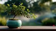 © musa - Small bonsai tree in teal pot on wooden surface, blurred background of garden scene