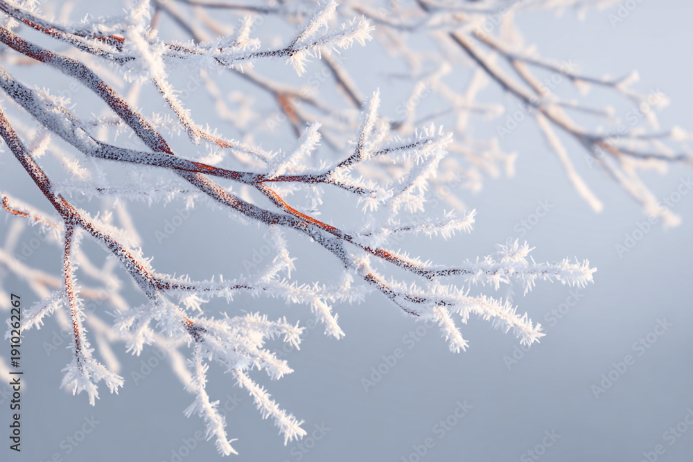 Frosty tree branches covered in snow and ice on winter morning Stock ...