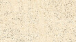 © T_H_E_A_R_T_I_S_T - warm beige terrazzo surface with a dense, fine grain distribution of multi colored mineral chips, it has soft , inviting aesthetic that is highly popular for mediterranean-inspired interiors.