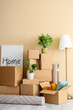 © Pixel-Shot - Cardboard boxes, picture and houseplants in new living room on moving day