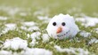 © t.sableaux - Small melting snowman on grass with partially collapsed shape, early spring thaw concept in natural daylight, playful and realistic scene