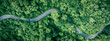 © Hand Robot - Forest road landscape showing sustainable travel and clean energy transportation concept for business marketing and modern eco technology presentations.