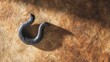© Evi - shackle. Broken iron shackle with a new fracture on an aged parchment-textured surface. event programs, museum guides, designed for cultural heritage projects and event programs.
