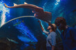 © Soloviova Liudmyla - Mother and son walking in indoor huge aquarium tunnel enjoying underwater sea inhabitants and showing interest to each other while watching shark and exotic fish in blue water during family vacation