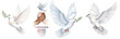 © Faizan - A symbolic image of white doves flying around a handshake on a transparent background