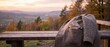 © ADMSalah - Small gift box wrapped in brown paper with a ribbon inside the pocket of a wool coat draped over a wooden bench, overlooking a beautiful autumn landscape at sunset in a wide horizontal panorama.