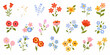 © Kabita - Colorful collection of illustrated wildflowers and blossoming floral arrangements