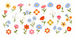 © Kabita - Colorful wildflower arrangement with various blossoms and green stems