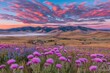 © ditegur - Sunrise over a valley, wildflowers in bloom