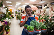 © Jelena - Florist talking on the phone and carrying a tray of plants in a flower shop