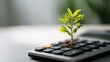 © jiratip - Financial growth concept with calculator and plant