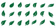 © Top - Leaf sprout icon vector set, green leaves plant eco logo symbol simple graphic illustration set, vegan fresh herb pictogram shape sign, organic natural healthy logotype image clip art