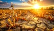 © Fajarstudio - FlyPro Firefly image showing severe drought causing widespread agricultural failure, with fields of withered, brittle crops and no sign of growth.