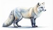 © HooPs - Realistic Hand-painted Watercolor Arctic Fox in Snow White Fur, Artistic Side View Portrait of a Polar Fox