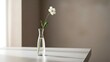 © Kinton - Elegant single white flower in slender glass vase, minimalist still life