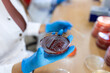 © Graphicroyalty - Close up of scientist holding petri dish with bacterial culture, microbiology laboratory, healthcare and medicine concept. Gloved hands examining agar plate with microorganisms in medical lab.