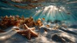 © by.anastasiya - Starfish resting on sandy seabed underwater with sunlight rays passing through clear sea water and marine particles.