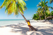 © Home-stock - Beautiful woman laying on the palm tree on the beach with white sand and blue sea ,full length shot