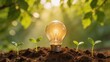 © wang - Light bulb with seedlings in soil