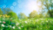 © Mariusz Blach - Sunny spring meadow blur background, blue sky and green grass