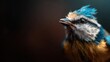 © svastix - A close-up image capturing the vibrant colors of a blue and yellow bird, conveying a sense of beauty and life against a softly blurred dark background.