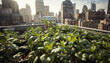 © Joshuva stock - Lush rooftop garden in modern cityscape with green plants