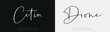 © Smart font - Cetin Dione, Script elegant alphabet letters font logo. Typography luxury classic lettering serif fonts decorative wedding vintage retro logos, design for fashion beauty shop and brand .