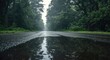 © TheWaterMeloonProjec - Puddles on wet asphalt road in forest captured on a rainy summer day panorama