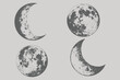 © SAGOR - Realistic full Moon in vintage engraving style. Retro Moon phases planets in solar system. Engraved hand drawn in old sketch, vintage style for label. Eps 10